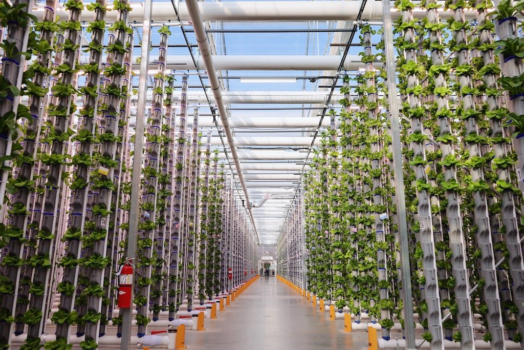 Vertical Farming