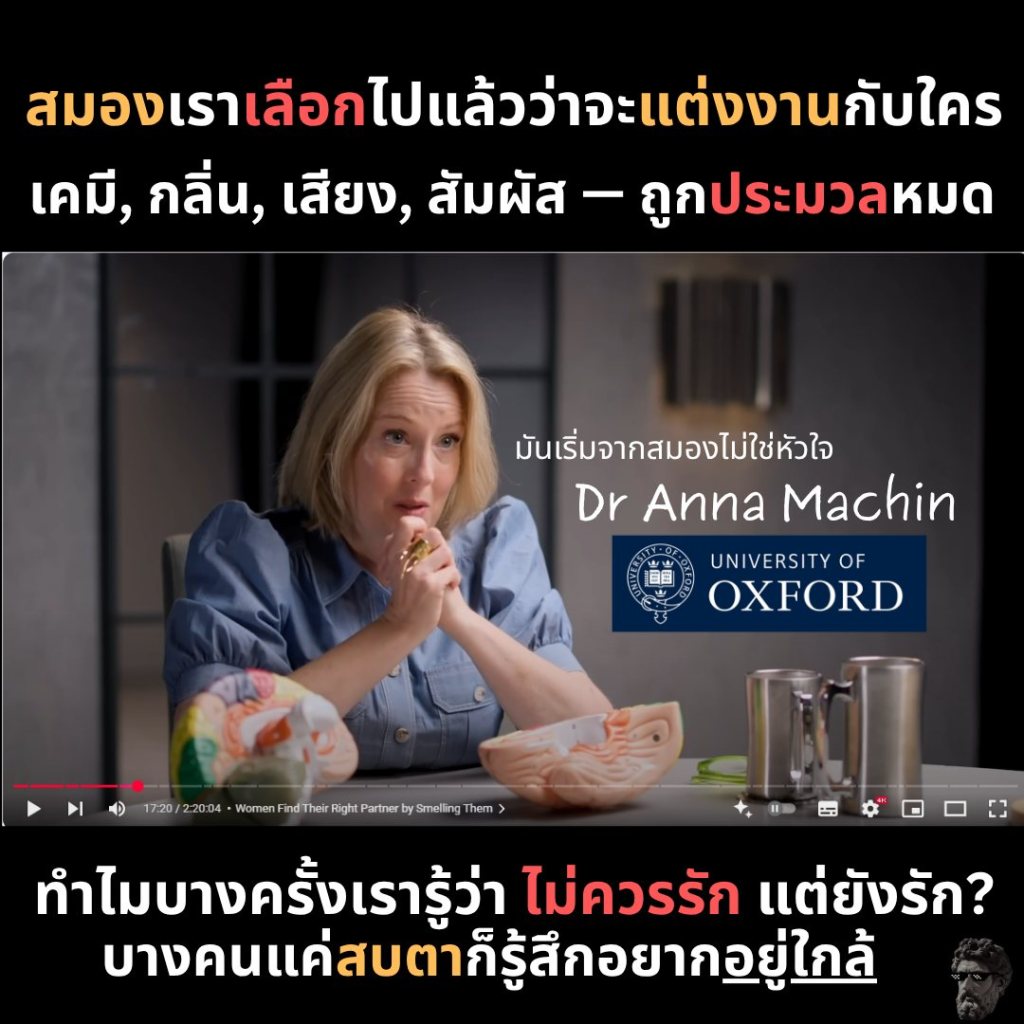 สมองเราเลือกไปแล้วว่าจะแต่งงานกับใคร เคมี,กลิ่น,เสียง,สัมผัส-ถูกประมวลทั้งหมด