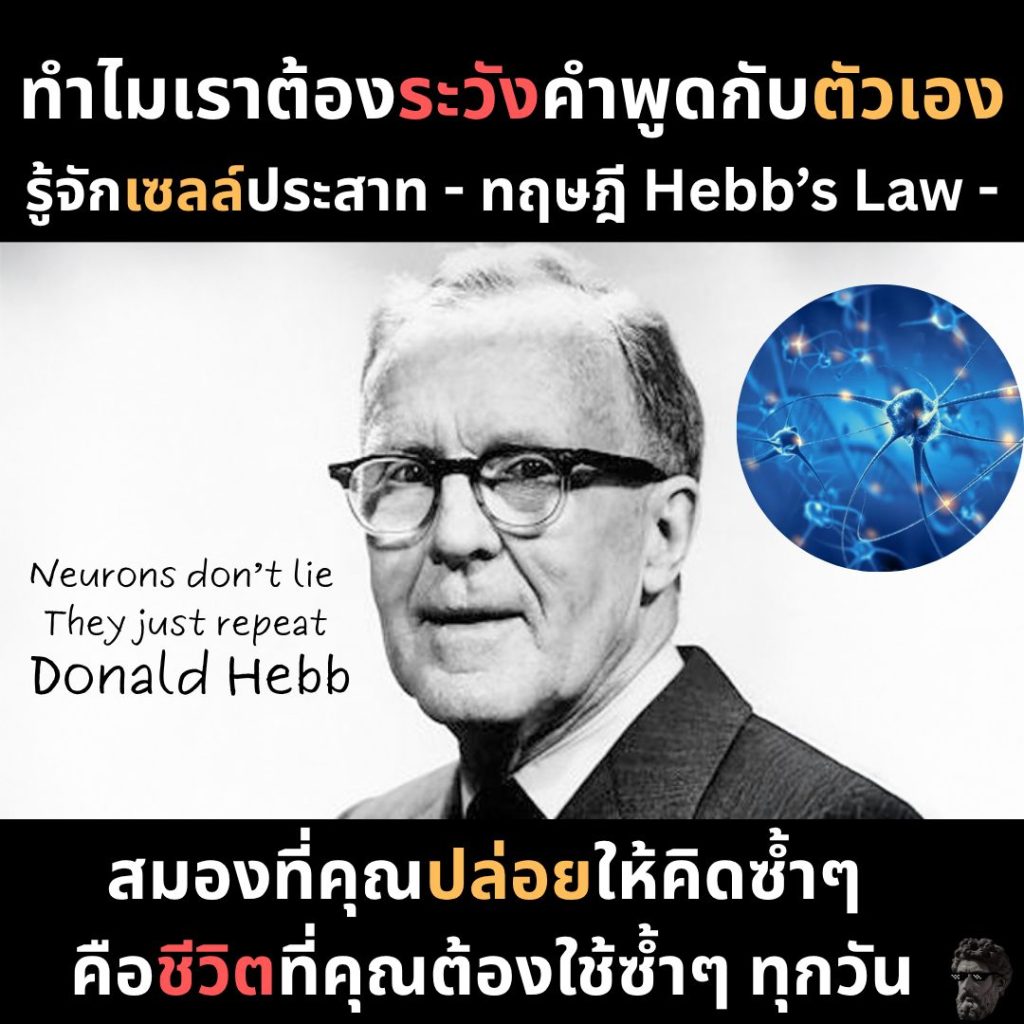 ทำไมเราต้องระวังคำพูดกับตัวเอง รู้จักเซลล์ประสาท – ทฤษฎี Hebb’s&nbsp;Law