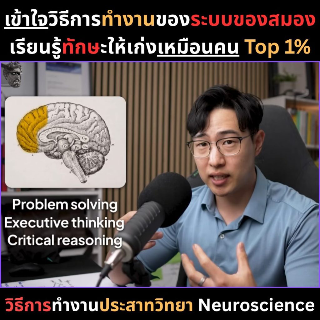 เข้าใจวิธีการทำงานของระบบของสมองเรียนรู้ทักษะให้เก่งเหมือนคน Top 1%