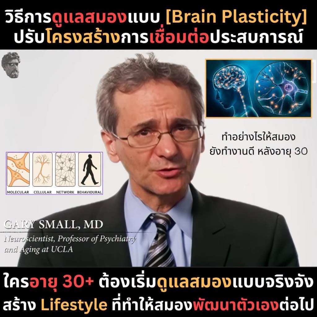 วิธีการดูแลสมองแบบ [Brain Plasticity]
